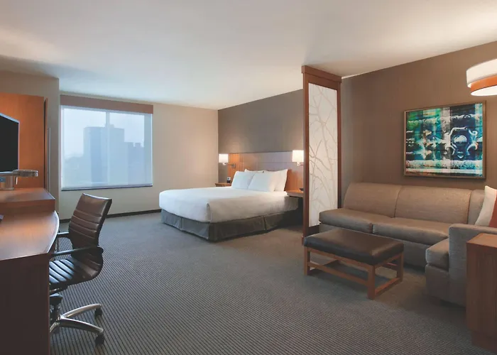 Hyatt Place Chicago-south/university Medical Center Hotel Chicago