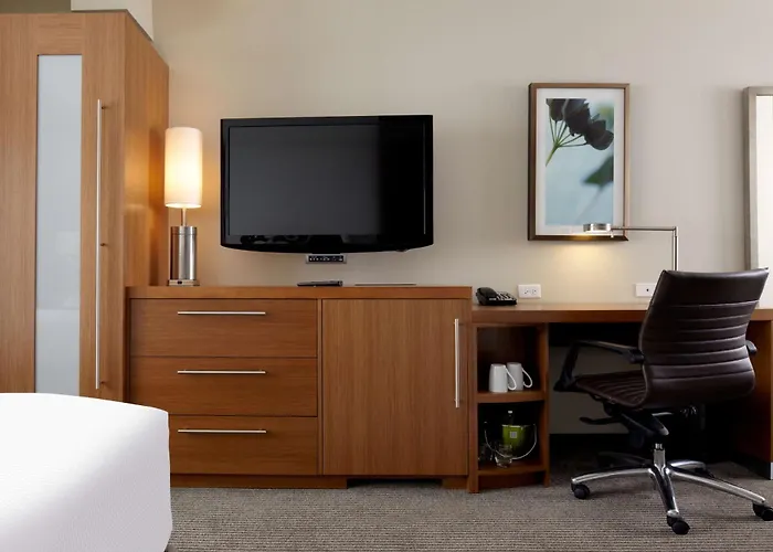 Hyatt Place Chicago-south/university Medical Center Hotel 3*