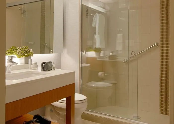 Hyatt Place Chicago-south/university Medical Center Hotel 3*