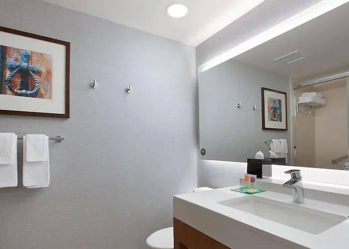 Hotel Hyatt Place Chicago-south/university Medical Center