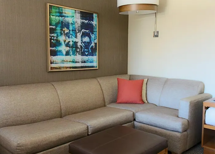 Hotel Hyatt Place Chicago-south/university Medical Center 3*