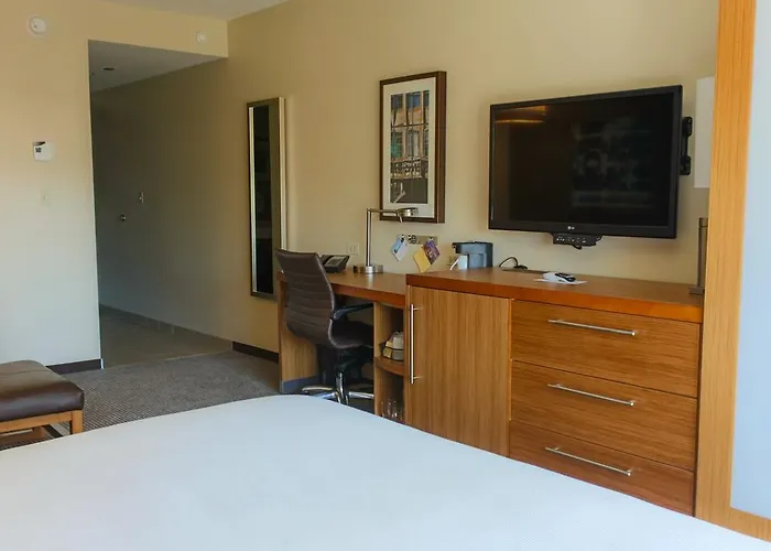 Hyatt Place Chicago-south/university Medical Center 3*