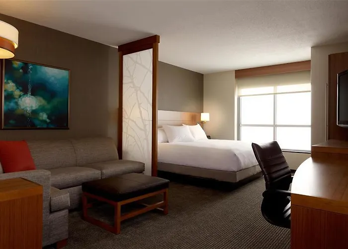Hyatt Place Chicago-south/university Medical Center Hotel Chicago